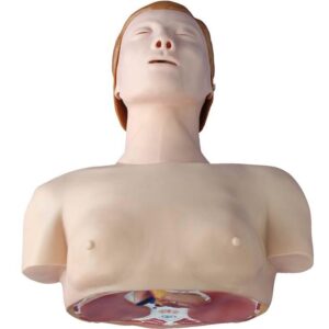 Basic CPR Manikin (Half Body) with Monitor
