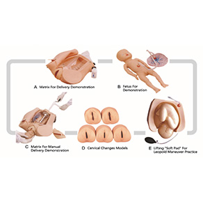 Advanced Abdominal Palpation & Delivery Mechanism Integrated Simulator