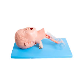Advanced Child Tracheal Intubation Model