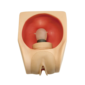 Advanced Female Contraception Model