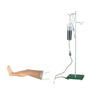 Advanced Intravenous Transfusion Leg Model (Imported)
