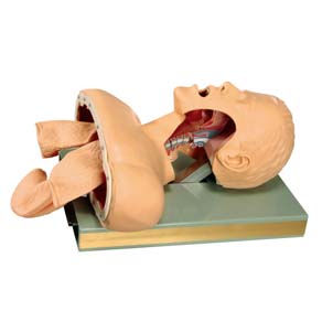 Airway Intubation Simulator