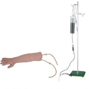 Arm Venipuncture Training Model (Imported)