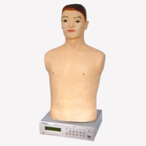 Auscultation Manikin