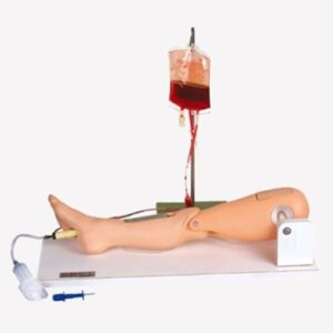 Bone Marrow Puncture and Femoral Venipuncture Model (Imported)
