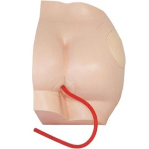 Buttock Injection model