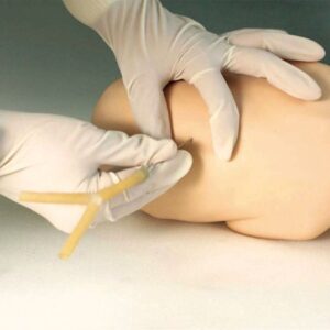 Central Venous Puncture and Catheterization Model (Imported)