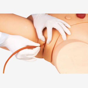 Female Catheterization Training Simulator