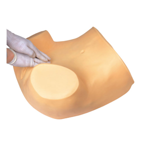Gynecological Examination Model