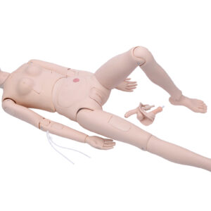 High Quality Nurse Training Doll (Female) Unisex