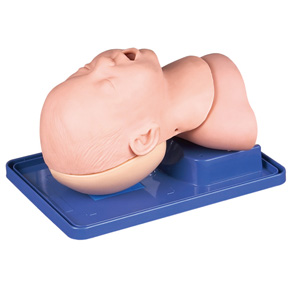 Infant Airway Management Model