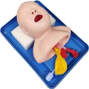 Infant Trachea Intubation Model (Imported)