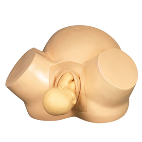 Midwifery Training Simulator