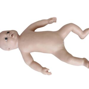 New Style Newborn Baby Model (F)