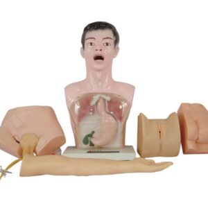 Nursing Basic Practice Teaching Model