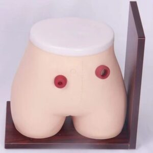 Ostomy Nursing Model (Imported)